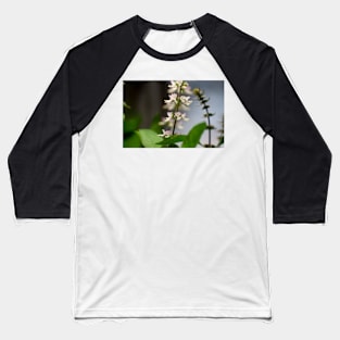 Basil Blossom Baseball T-Shirt